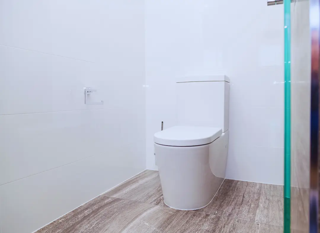 Remplacement de wc Vendargues